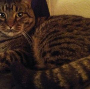 Meet your Posher, Robyn